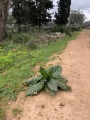 תמונה ממוזערת לגרסה מתאריך 18:27, 17 במרץ 2024