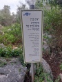 תמונה ממוזערת לגרסה מתאריך 15:11, 16 במרץ 2024