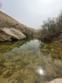 תמונה ממוזערת לגרסה מתאריך 14:31, 2 באפריל 2024