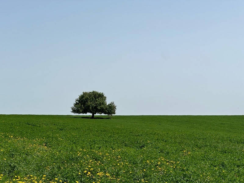 קובץ:2024-03-30T13 42 46.554078305232.jpg