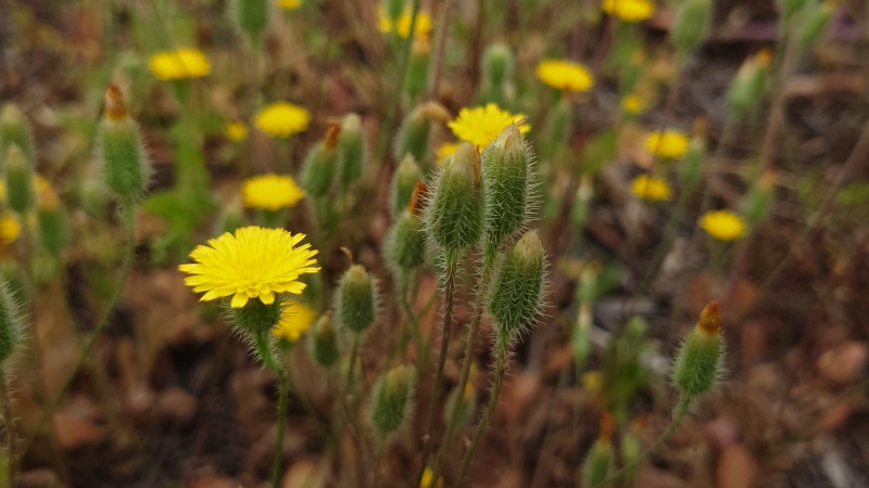 קובץ:2024-04-07T16 49 26.519820932745.jpg