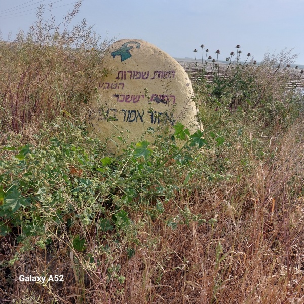 קובץ:2024-04-08T09 06 29.429575485747.jpg