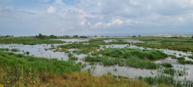 קובץ:2024-04-09T10 47 28.055256384164.jpg