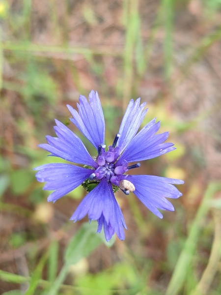 קובץ:2024-04-11T13 37 45.301792784203.jpg