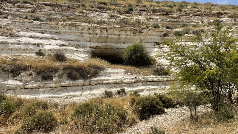 קובץ:2024-04-13T14 26 03.998662281848.jpg