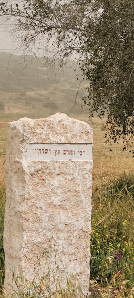 קובץ:2024-04-18T10 20 25.16891110518.jpg