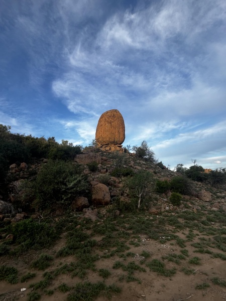 קובץ:2024-04-20T17 30 59.831937360413.jpg