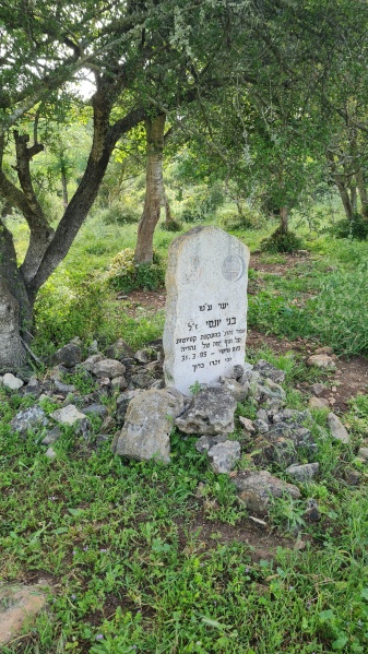 קובץ:2024-04-23T08 39 34.446623795067.jpg