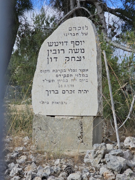 קובץ:2024-05-13T16 55 10.996422440257.jpg