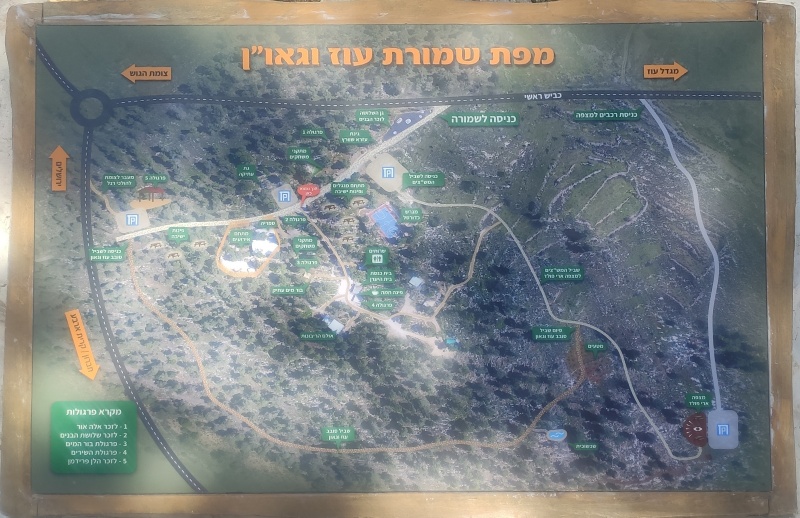 קובץ:2024-05-14T15 59 39.866342822960.jpg