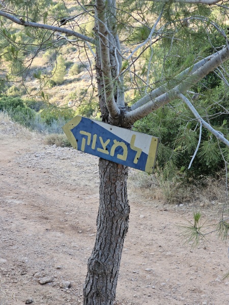 קובץ:2024-05-29T18 49 44.516205697784.jpg