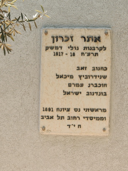 קובץ:2024-06-18T13 18 14.957102444955.jpg