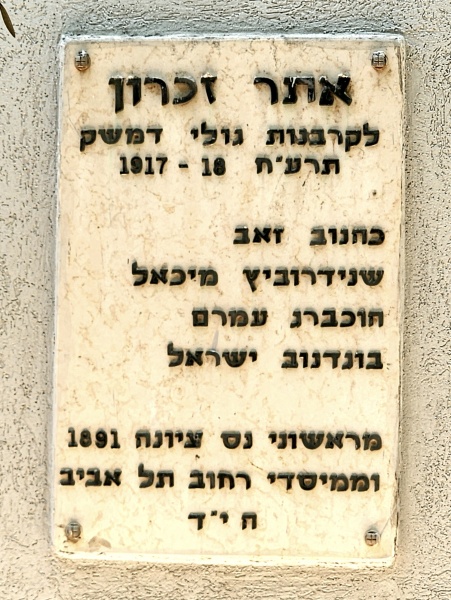 קובץ:2024-07-06T13 20 57.535491181113.jpg