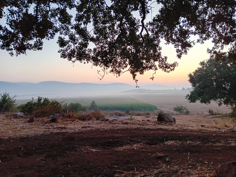 קובץ:2024-07-09T05 27 59.022972969186.jpg