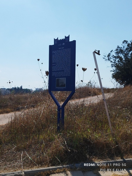 קובץ:2024-07-15T15 55 44.878837341057.jpg