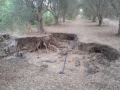 תמונה ממוזערת לגרסה מתאריך 16:30, 16 ביולי 2024