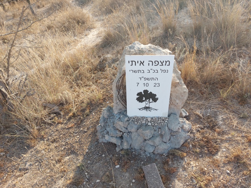 קובץ:2024-07-20T07 05 45.909367176768.jpg