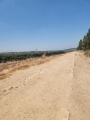 תמונה ממוזערת לגרסה מתאריך 08:41, 2 באוגוסט 2024