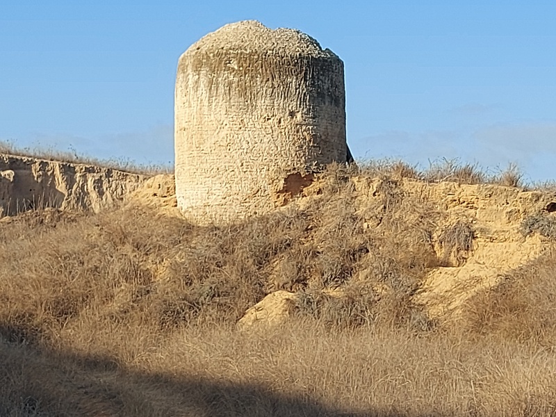 קובץ:2024-08-10T07 28 19.618883990311.jpg