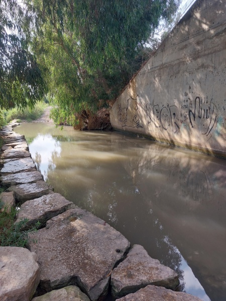 קובץ:2024-08-19T09 12 56.084956631591.jpg