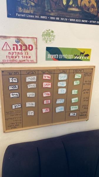 קובץ:2024-08-28T11 21 50.12071518579.jpg