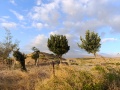 תמונה ממוזערת לגרסה מתאריך 19:16, 7 בספטמבר 2024