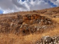 תמונה ממוזערת לגרסה מתאריך 10:29, 21 בספטמבר 2024