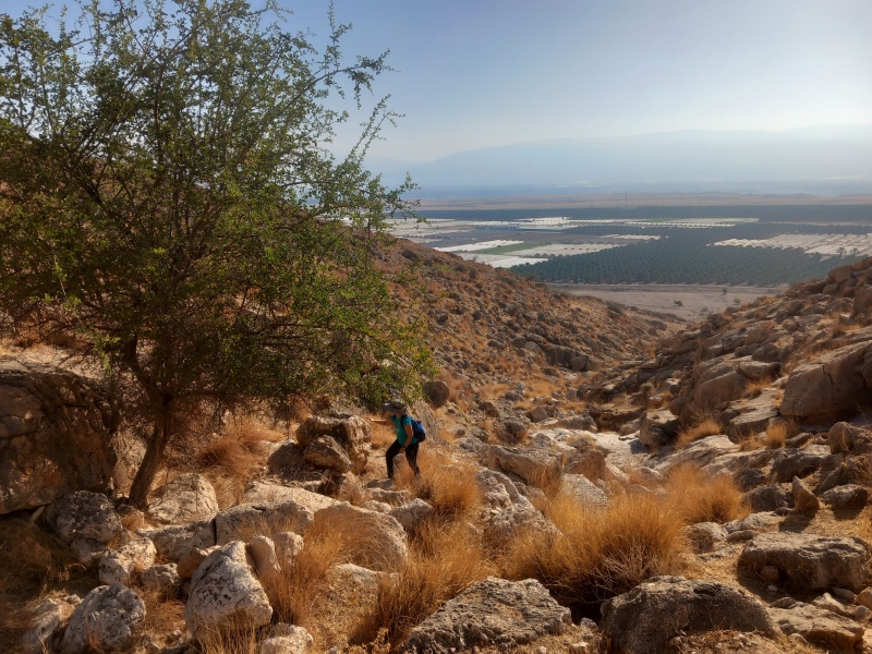 קובץ:2024-10-05T08 49 00.031427740812.jpg