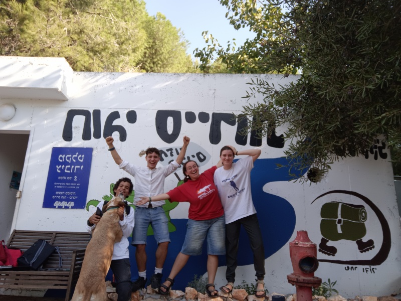 קובץ:2024-10-07T16 01 12.460821664331.jpg