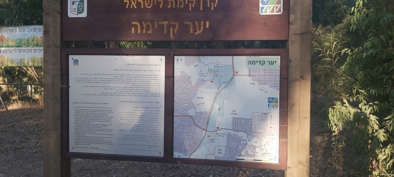 קובץ:2024-10-23T17 09 59.445418953753.jpg