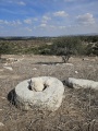 תמונה ממוזערת לגרסה מתאריך 10:02, 14 בנובמבר 2024