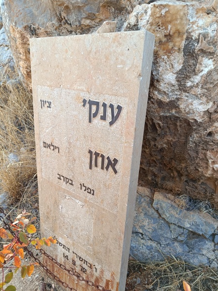 קובץ:2024-11-14T15 53 40.92789969958.jpg