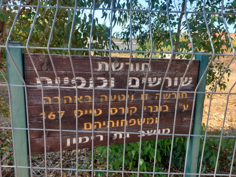 קובץ:2024-11-23T11 56 21.646273391026.jpg