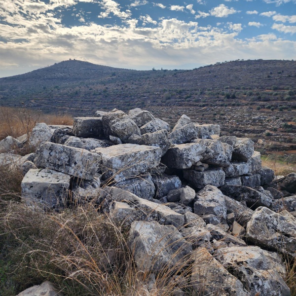 קובץ:2024-12-06T09 14 52.145158541942.jpg