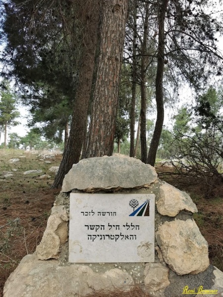 קובץ:2024-12-13T05 33 22.356957221995.jpg