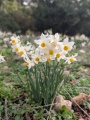 תמונה ממוזערת לגרסה מתאריך 10:45, 26 בדצמבר 2024