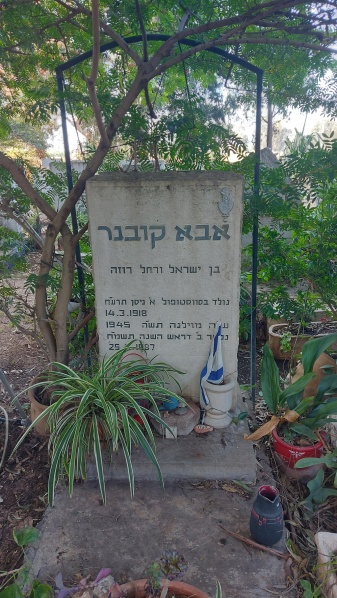 קובץ:2025-01-09T09 48 31.160711311221.jpg