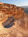 תמונה ממוזערת לגרסה מתאריך 20:36, 11 בינואר 2025