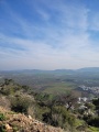 תמונה ממוזערת לגרסה מתאריך 12:05, 14 בינואר 2025