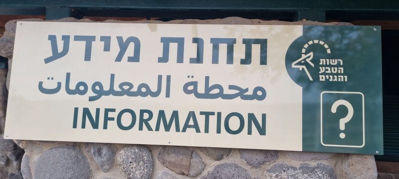 קובץ:2025-01-15T15 25 45.201947791254.jpg