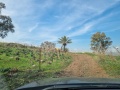 תמונה ממוזערת לגרסה מתאריך 09:42, 17 בינואר 2025