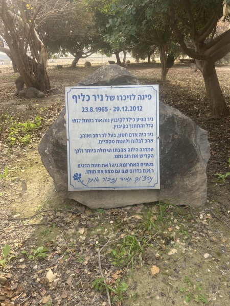 קובץ:2025-01-17T14 04 09.711681249064.jpg