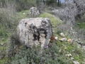 תמונה ממוזערת לגרסה מתאריך 15:51, 26 בפברואר 2025