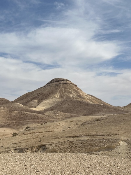 קובץ:2025-02-14T10 27 31.278971467950.jpg