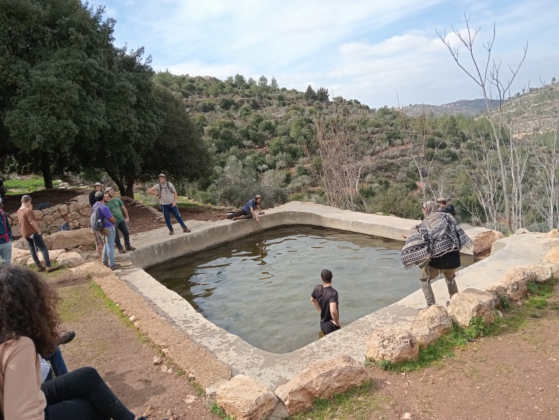 קובץ:2025-02-14T10 56 32.101850224082.jpg