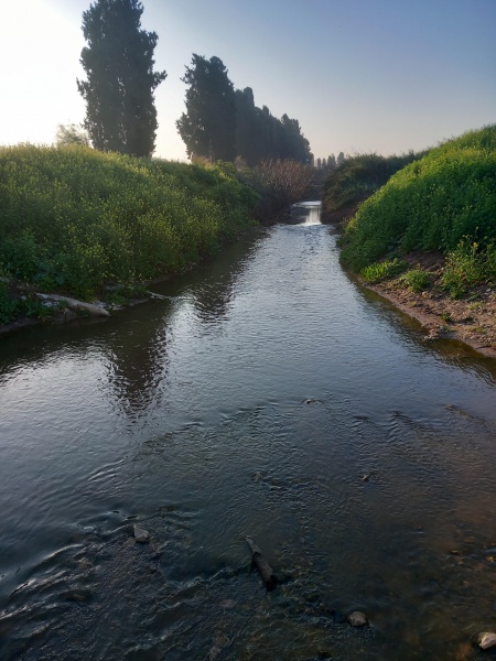 קובץ:2025-02-17T07 21 55.018754303519.jpg