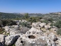 תמונה ממוזערת לגרסה מתאריך 13:55, 26 בפברואר 2025