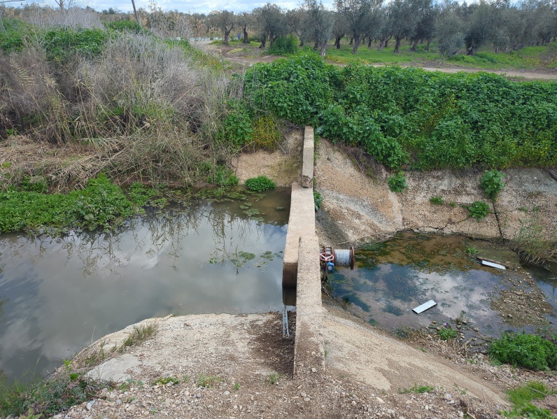 קובץ:2025-03-01T11 22 21.215695920828.jpg