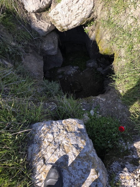 קובץ:2025-03-11T14 48 12.87817797629.jpg
