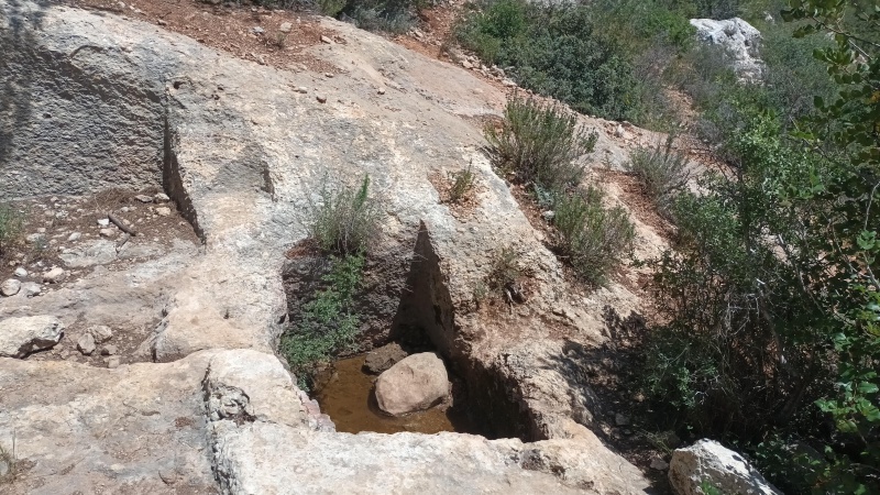 קובץ:2025-04-18T12 53 31.130407134765.jpg